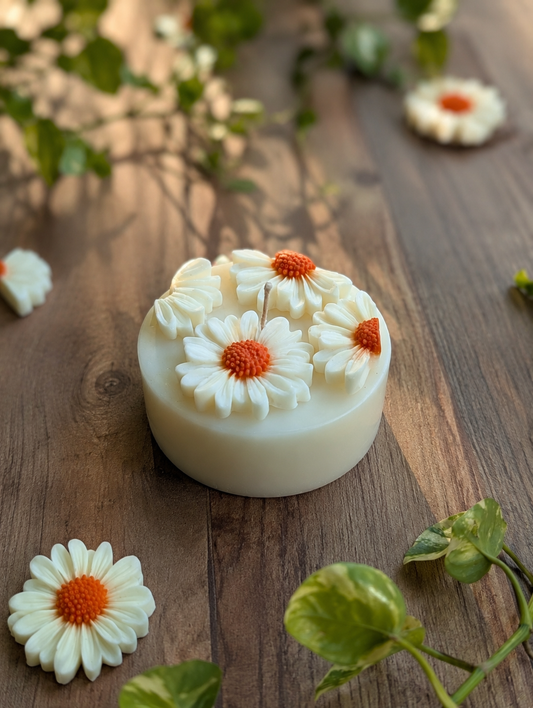 Garden of Daisies