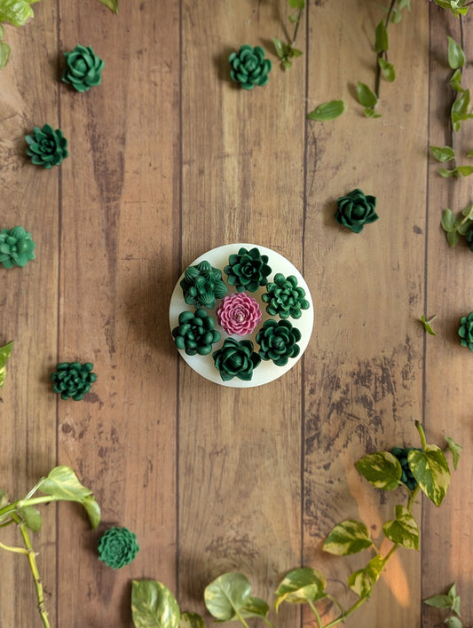 Succulent Garden