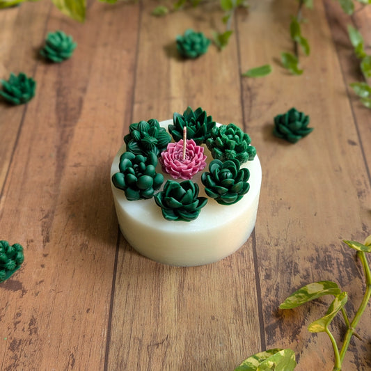 Succulent Garden