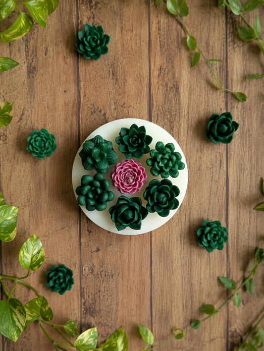 Succulent Garden
